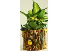 �07010L_����� ������ �� ������