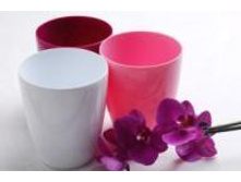 ����� (������) �������  LUX 1,3 �.JPG