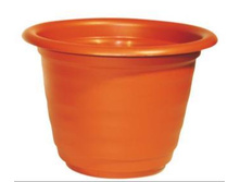 ����� ������.JPG