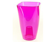 ����� �����.JPG