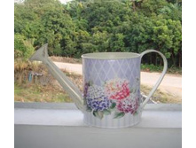 ����� ����� ���������   