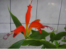 ���������� ������