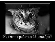 31 ������� ��������.jpeg