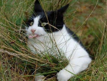 ������� ����.jpg