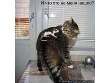 � ��� ��� �� ���� �����.jpg