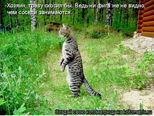 ��� �� ������ �����.jpg