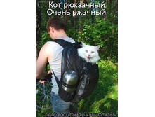 ��� ���������.jpg