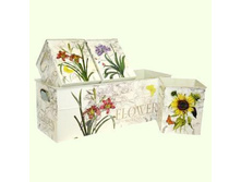 F1297L_����� ����� ����