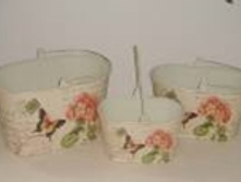 F1231L_����� �������� ����