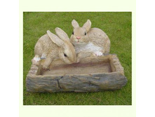 MG19791_�������� � �������