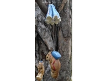 MG2555700_������� ����� ���������� � �����������