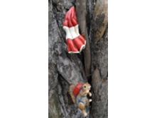 MG2557800_������� ����� ����������