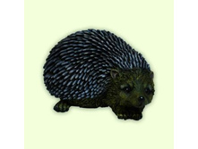 W07001M2_������� ���� �������