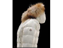 ��. ���������� ����. �������� ���������