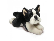 359*54_������� ������ ������ ������ (�������)_348 ��� 