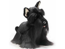 359*46_������� ������ ����� ������ (�������)_348 ���