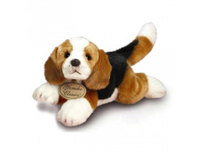 359*66_������� ������ ������� ���� (�������)_348 ���