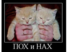 ��� � ���.jpg