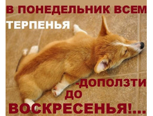 � ��. ���� ��������.jpg