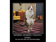 ��������-�������� �������....jpg