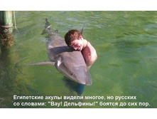 ���, ��������.jpg