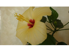 ������� 001.jpg