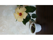 ���� 003.jpg