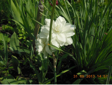 DSCN0200.JPG
