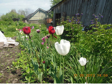 DSCN0203.JPG