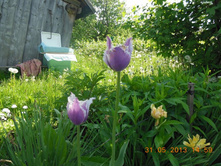 DSCN0204.JPG