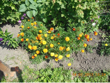 DSCN0221.JPG