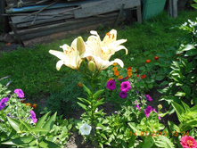 DSCN0224.JPG