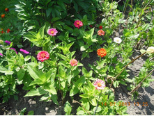 DSCN0225.JPG