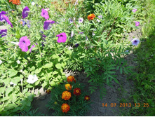 DSCN0227.JPG