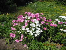 DSCN0234.JPG