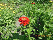 DSCN0236.JPG