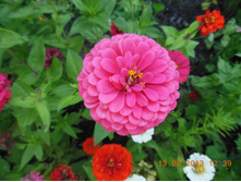 DSCN0322.JPG