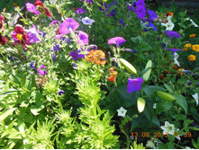 DSCN0323.JPG