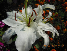 DSCN0325.JPG