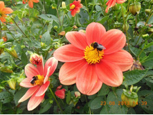 DSCN0396.JPG