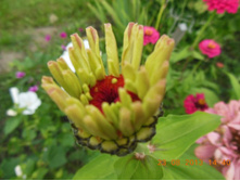 DSCN0398.JPG