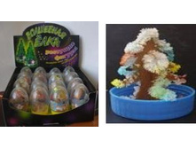 T1004_��������� �������� ������ (� ����).JPG