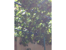 �������� � ��������.jpg