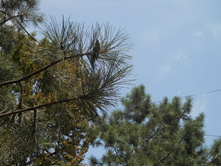 DSCN1816.JPG