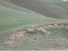DSCN1930.JPG