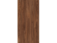 ���� ������.jpg