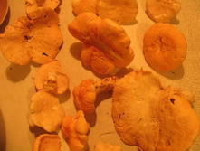 �֣���� 4.jpg