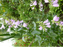 11.09.2013 21:58:31���������� ����������