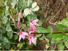 11.09.2013 21:59:38������� ����������