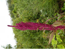 11.09.2013 22:06:52 �������